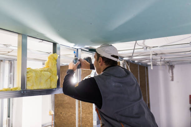 Best Residential Insulation Services  in Sudley, VA